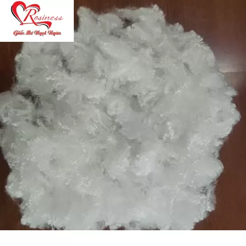 Sợi Polyester nguyên chất, HCS nguyên chất