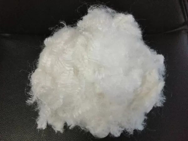 Xơ Polyester rỗng 2 chiều không dầu – 15D64HD